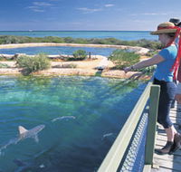 Shark Bay Marine Park - Darwin Holiday