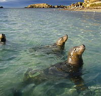 Shoalwater Islands Marine Park - Darwin Holiday