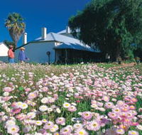 Greenough Museum - Darwin Holiday