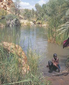 Palm Springs - Darwin Holiday 0