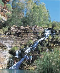 Fortescue Falls - Darwin Holiday 0