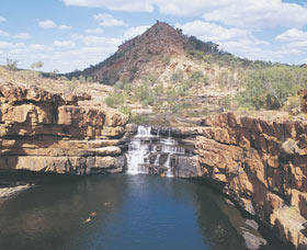 Silent Grove - Darwin Holiday 0