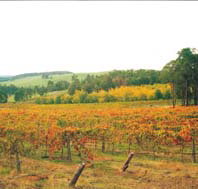 Byramgou Park - Darwin Holiday