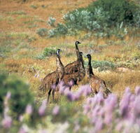 Jurabi Coastal Reserve - Darwin Holiday