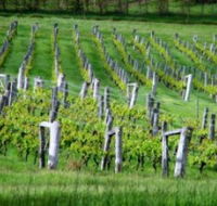 Sienna Estate Winery - Darwin Holiday