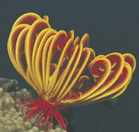 Lighthouse Bay - Darwin Holiday