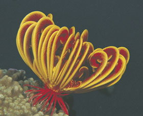 Lighthouse Bay - Darwin Holiday 0