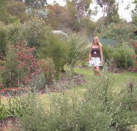 The Mythic Mazes - Darwin Holiday