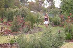 The Mythic Mazes - Darwin Holiday 0