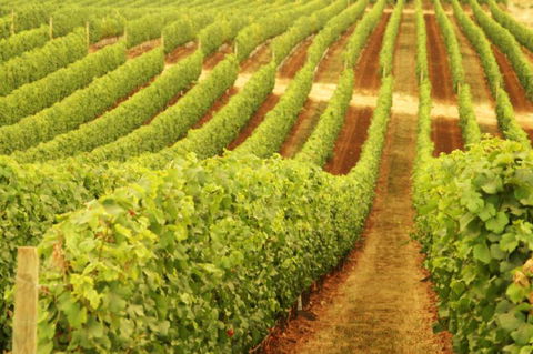 Xanadu Wines - Darwin Holiday 0
