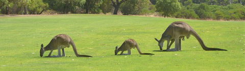 Rockingham Golf Club - Darwin Holiday 3