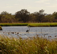 Anytime Adventures in Mandurah  the Peel Region - Darwin Holiday