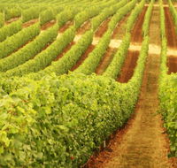 Happs Wines - Darwin Holiday