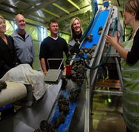Eyre Peninsula's Seafood Trail - Darwin Holiday