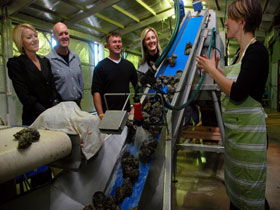 Eyre Peninsula's Seafood Trail - Darwin Holiday 0