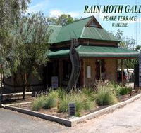 Rain Moth Gallery - Darwin Holiday