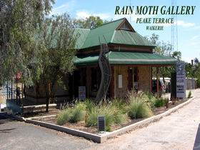 Rain Moth Gallery - Darwin Holiday 0