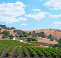Bethany Wines - Darwin Holiday