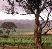 Yangarra Estate Vineyard - Darwin Holiday