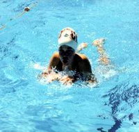 Mount Gambier Aquatic Centre - Darwin Holiday