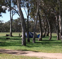 Black Cockatoo Bush Camp - Darwin Holiday