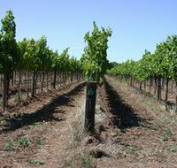 Temple Bruer Winery - Darwin Holiday