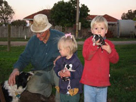 Orrie Cowie Merino And Poll Merino Stud - Darwin Holiday 0