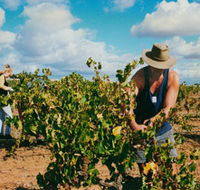 Torbreck Vintners - Darwin Holiday