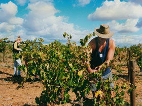 Torbreck Vintners - Darwin Holiday 0