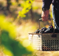 Burge Family Winemakers - Darwin Holiday