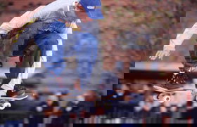 City Sk8 Park - Darwin Holiday 0