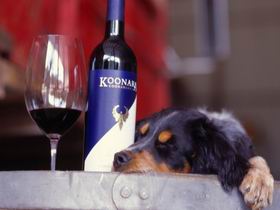 Koonara Wines - Darwin Holiday 0