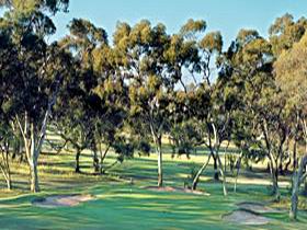 Tanunda Pines Golf Club - Darwin Holiday 0