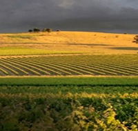 Kellermeister Wines - Darwin Holiday
