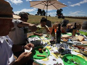 God's Hill Wines - Darwin Holiday 0