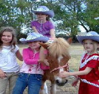 Amberainbow Pony Rides - Darwin Holiday