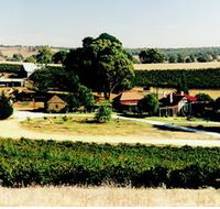 Irvine Wines - Darwin Holiday