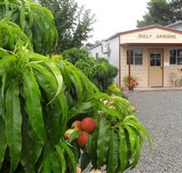 Gully Gardens - Darwin Holiday
