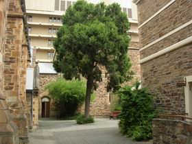 Flinders Street Baptist Church - Darwin Holiday 0