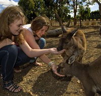 Kangaroo Island Wildlife Park - Darwin Holiday