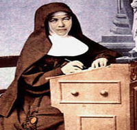 Mary MacKillop Penola Centre - Darwin Holiday