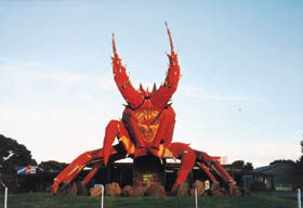 The Big Lobster - Darwin Holiday 0