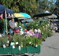 Meadows Monthly Market - Darwin Holiday