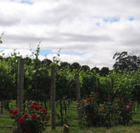 Manyara Vineyard - Darwin Holiday
