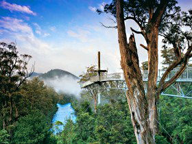 Darwin Holiday