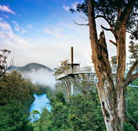 Tahune Adventures Tasmania - Darwin Holiday