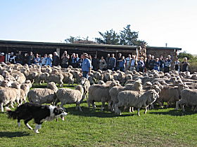 Curringa Farm - Accommodation And Farm Tours - Darwin Holiday 0