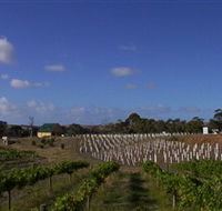 Deep Creek Wines and Alpacas - Darwin Holiday