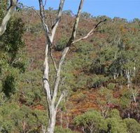 Black Hill Conservation Park - Darwin Holiday
