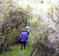 Jack And Hilda McArthur Walk - Darwin Holiday